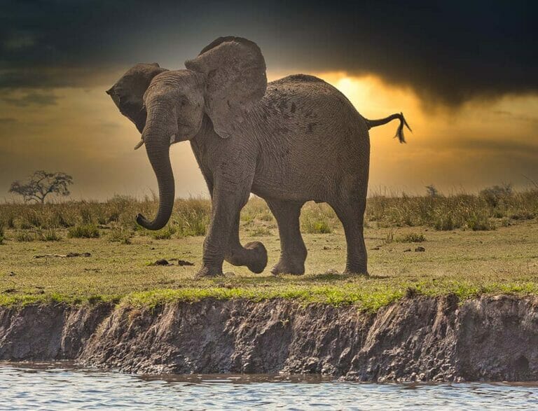 Disclaimer John Finch Travel