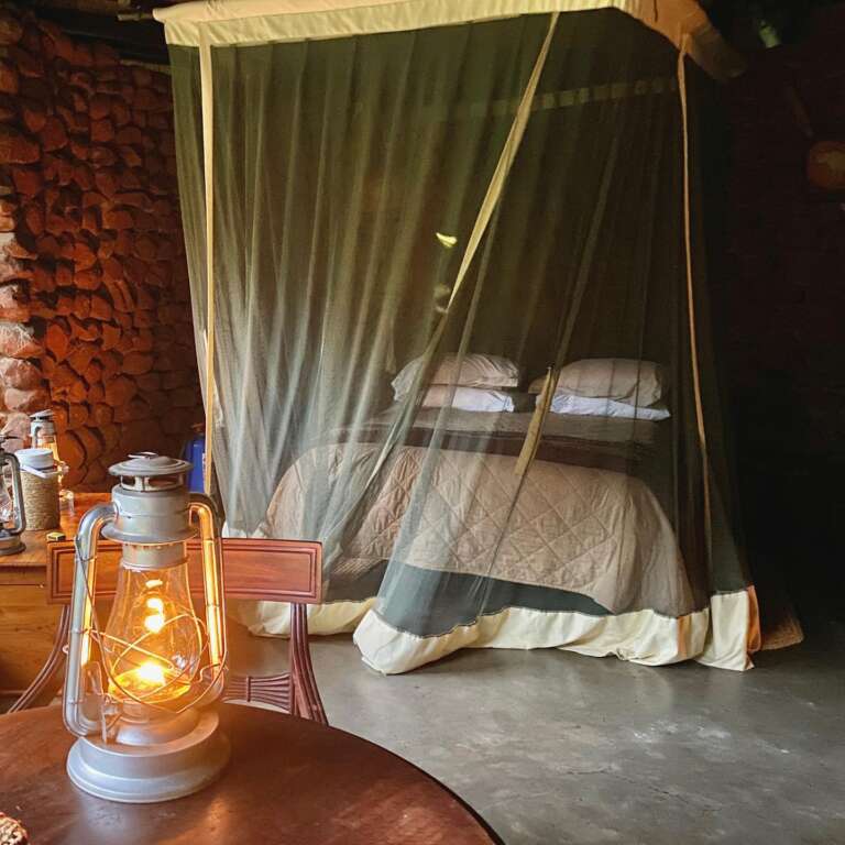 Southern African Safari